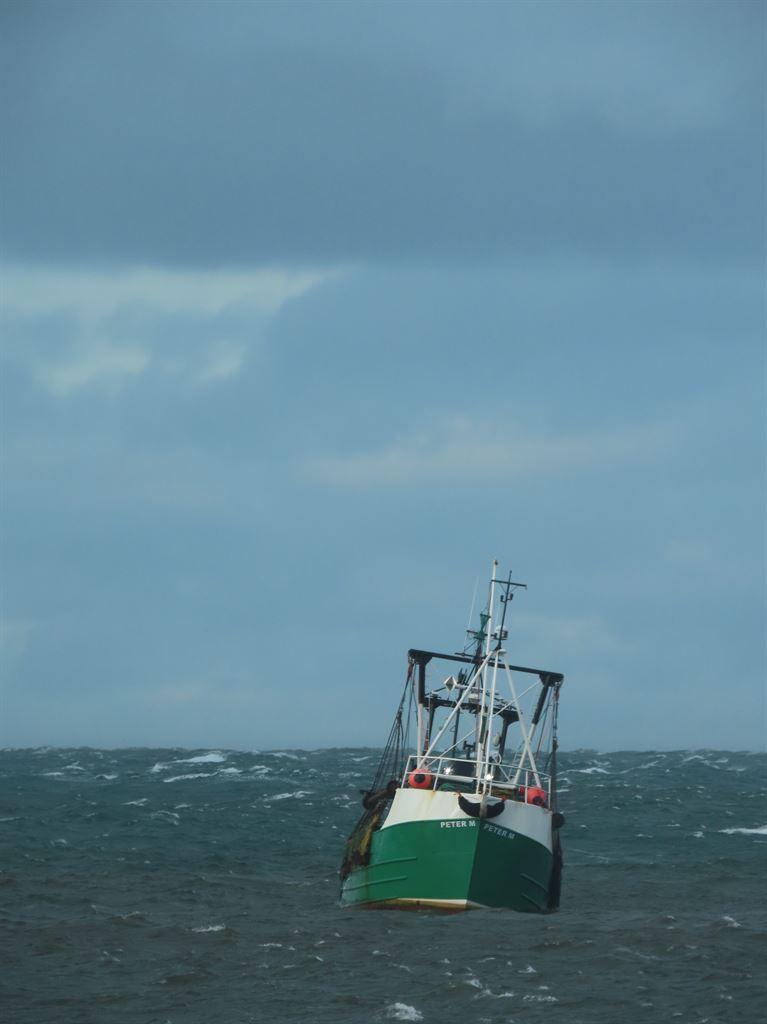 peelbay