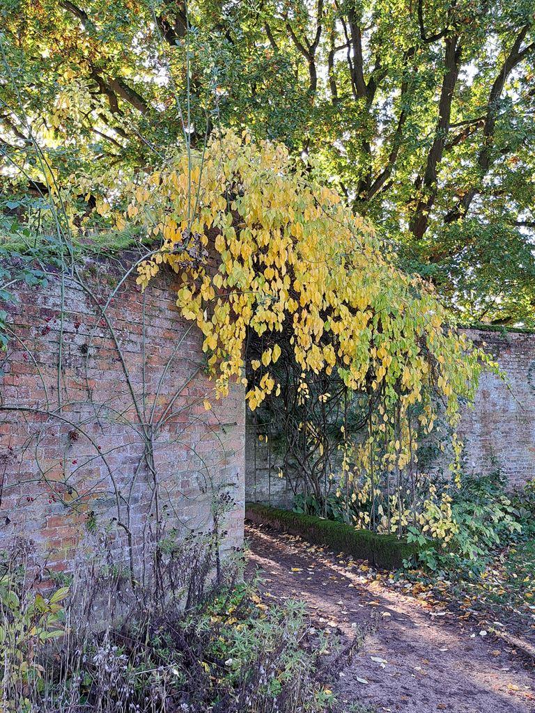 gateway