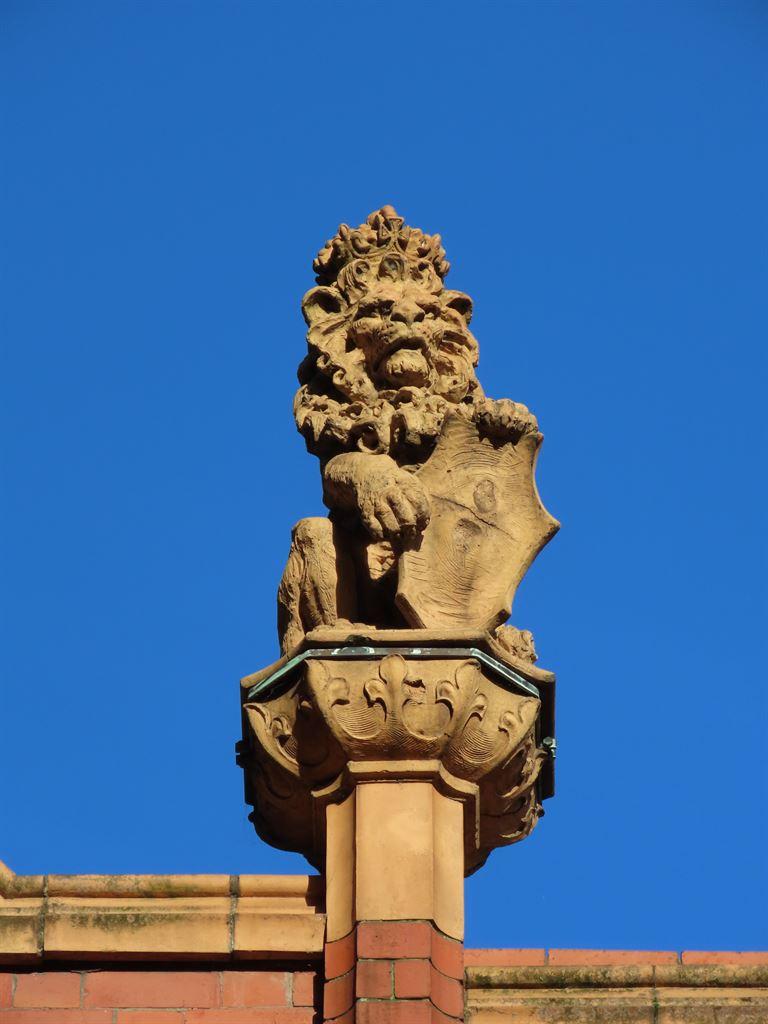 lion