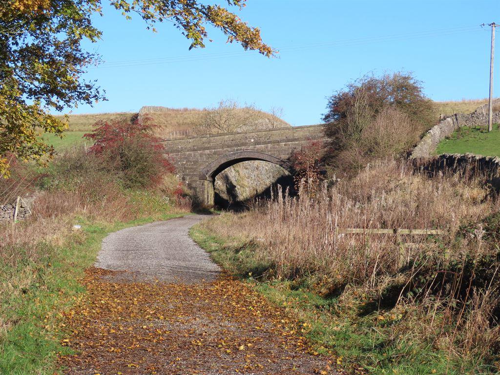 bridge