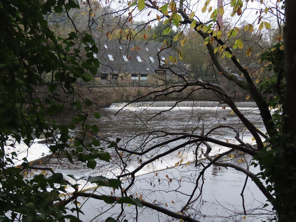 weir1