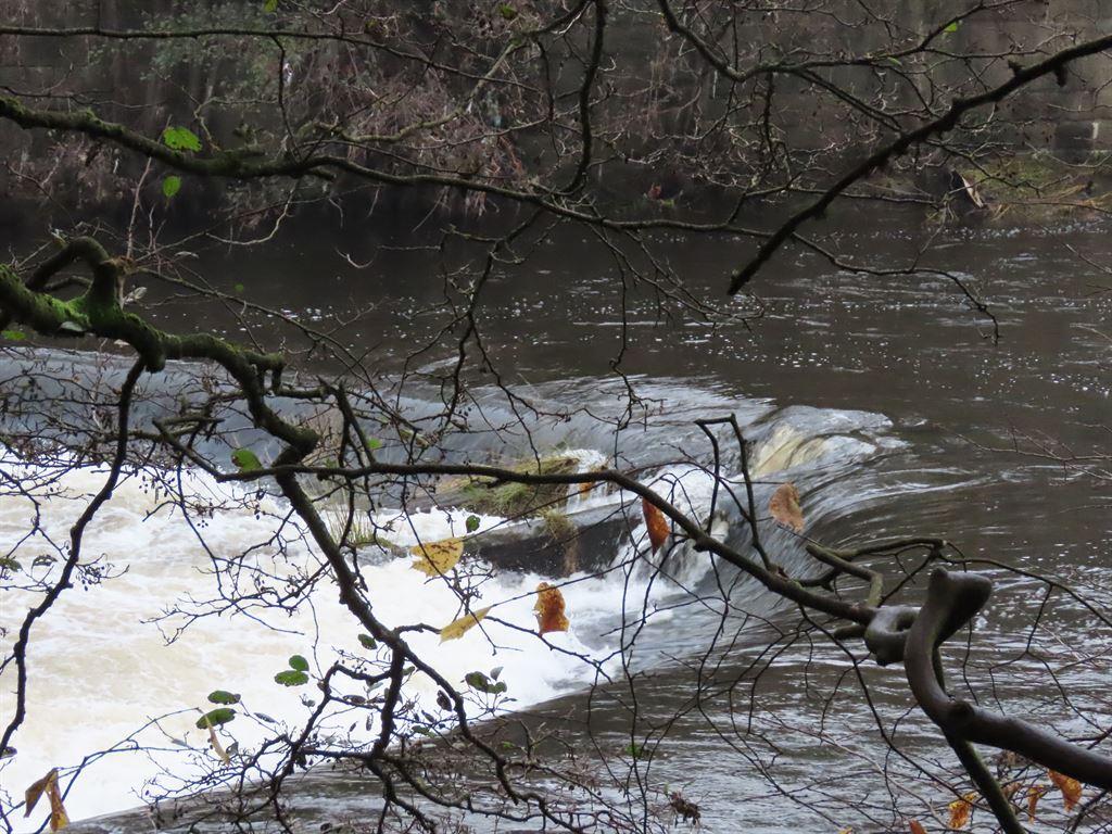 weir2
