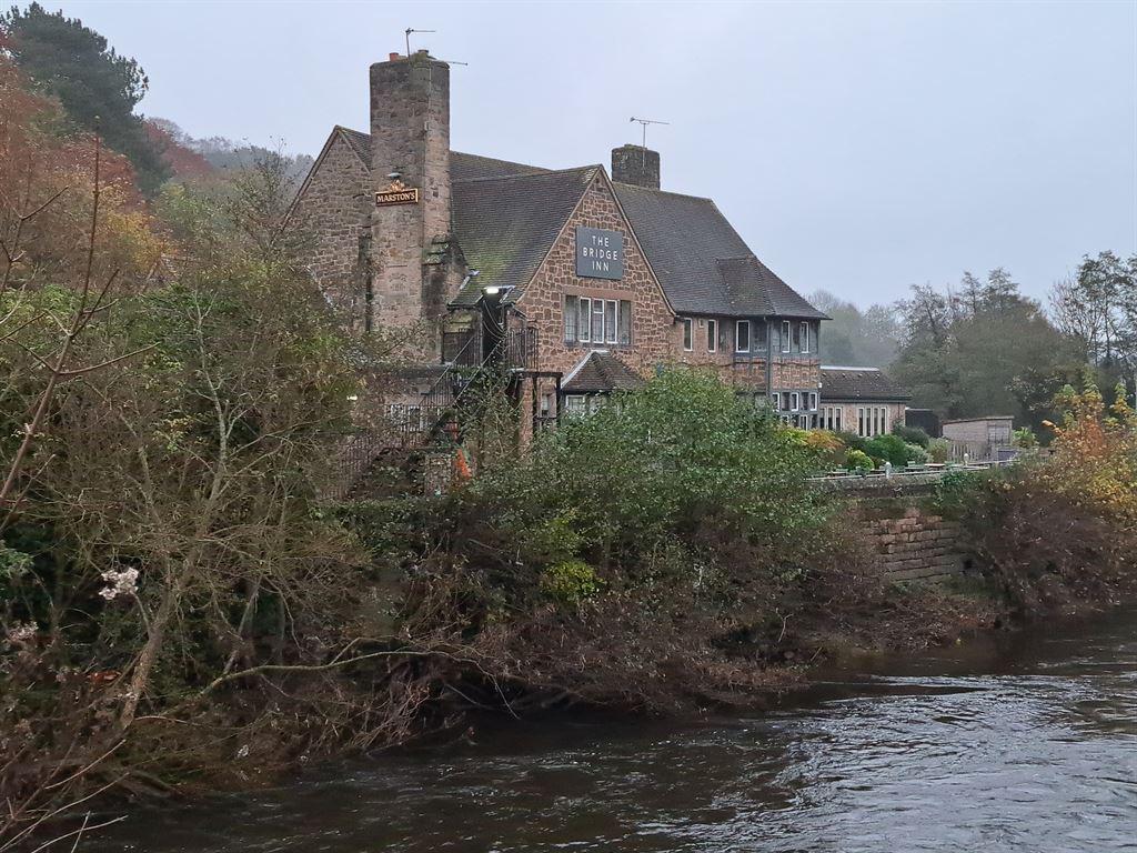 bridgepub