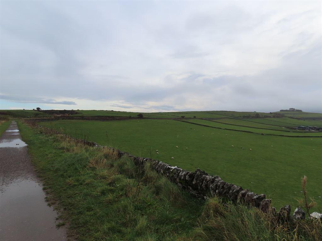 path
