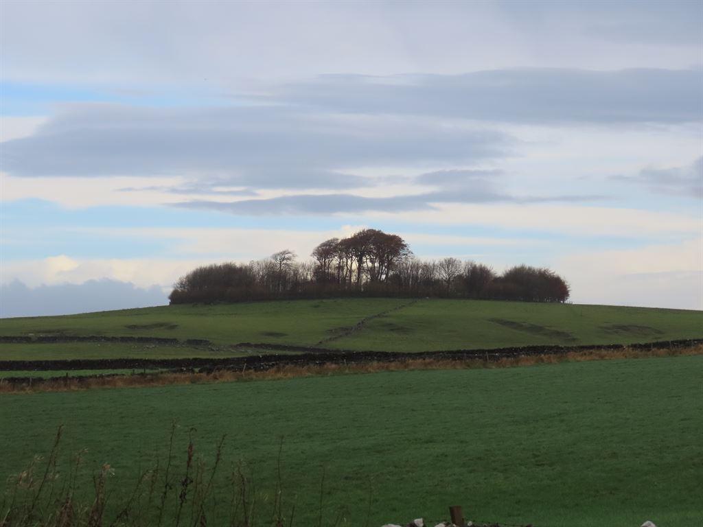 hilltop