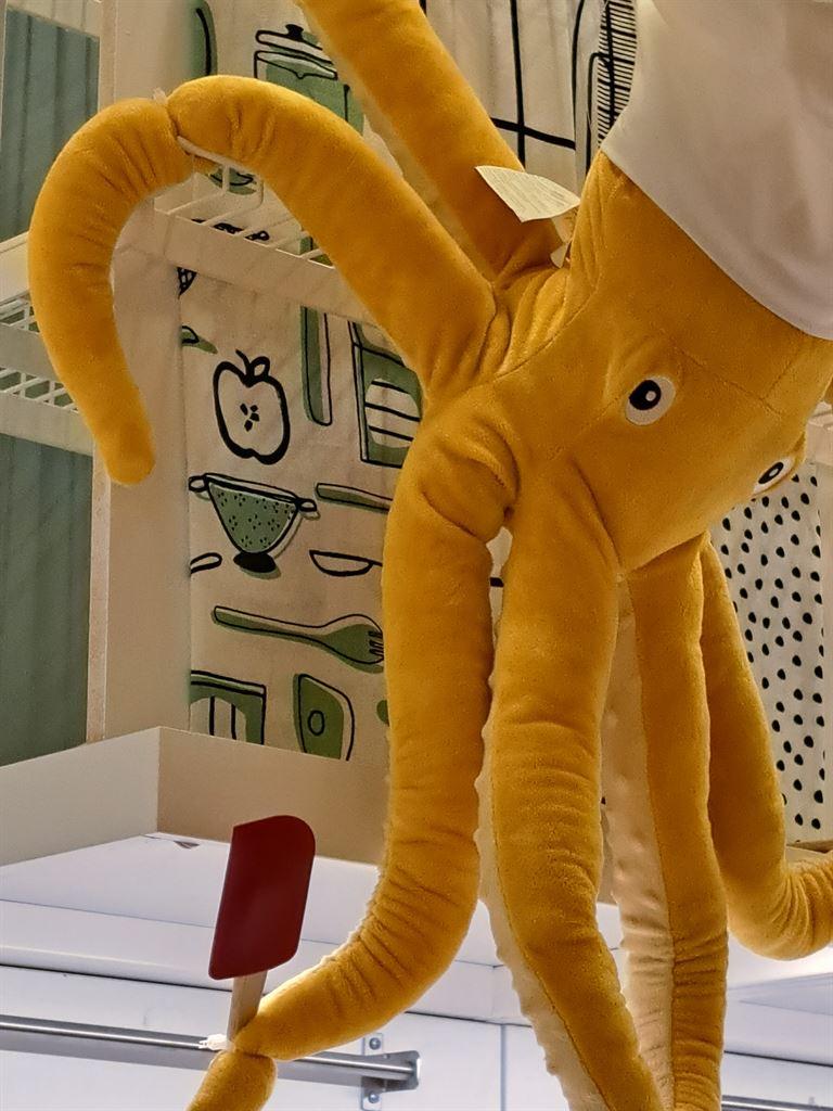 octopus