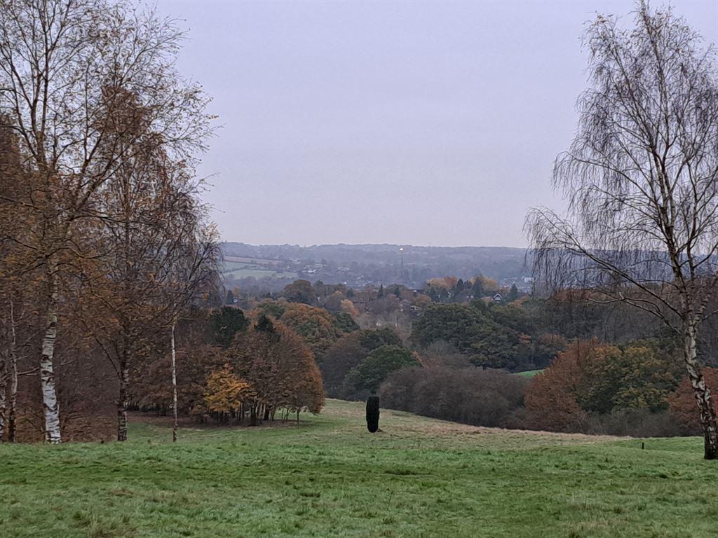 view1