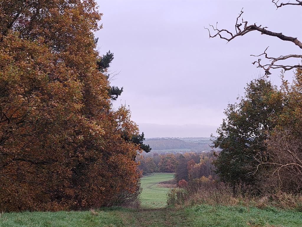 view2