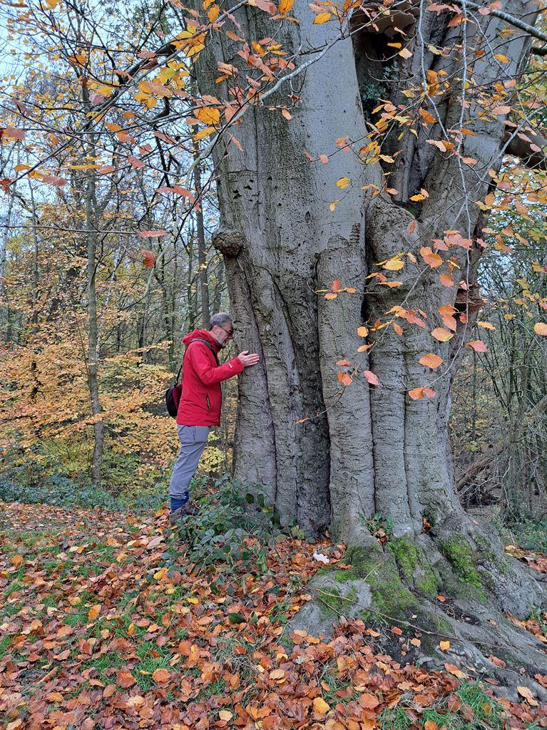 nigel&tree