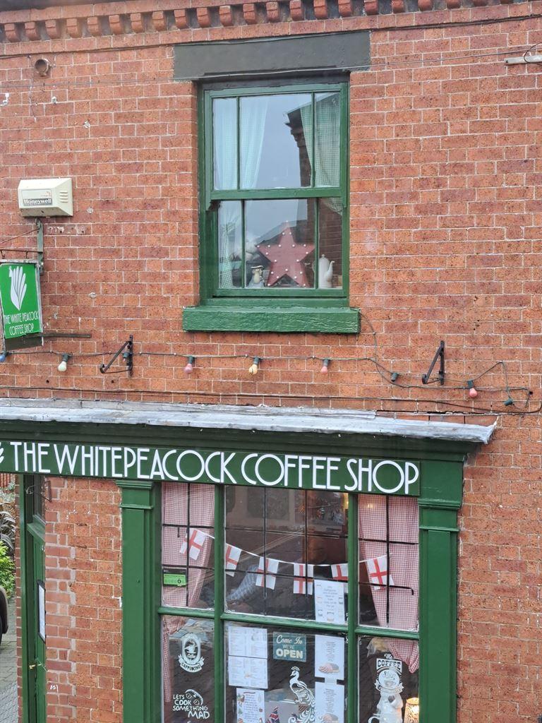 whitepeacock