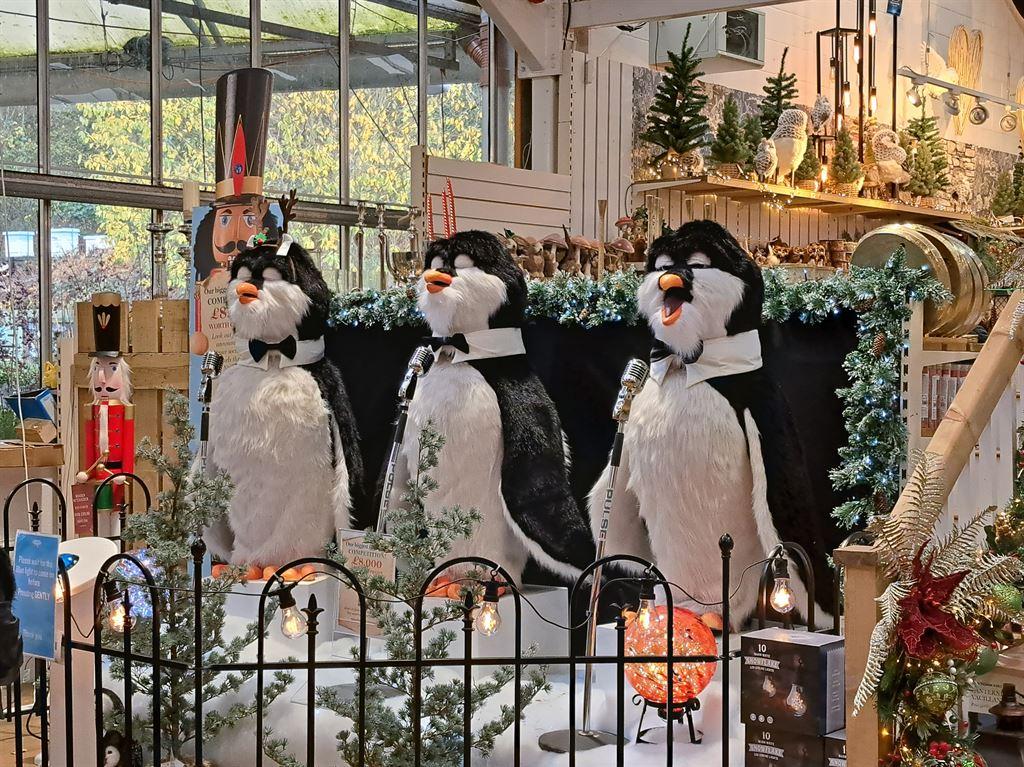 penguins