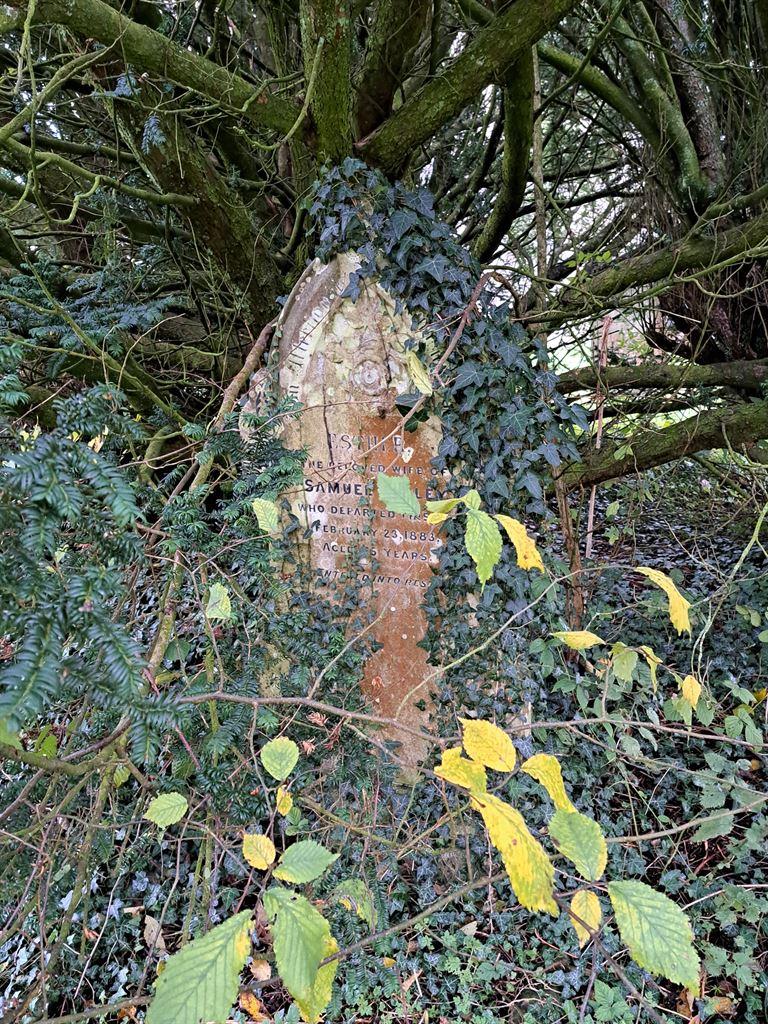coveredgrave