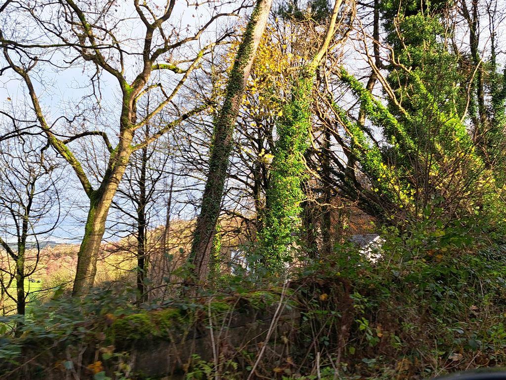 cottage1
