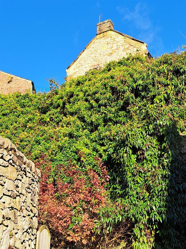 cliff1