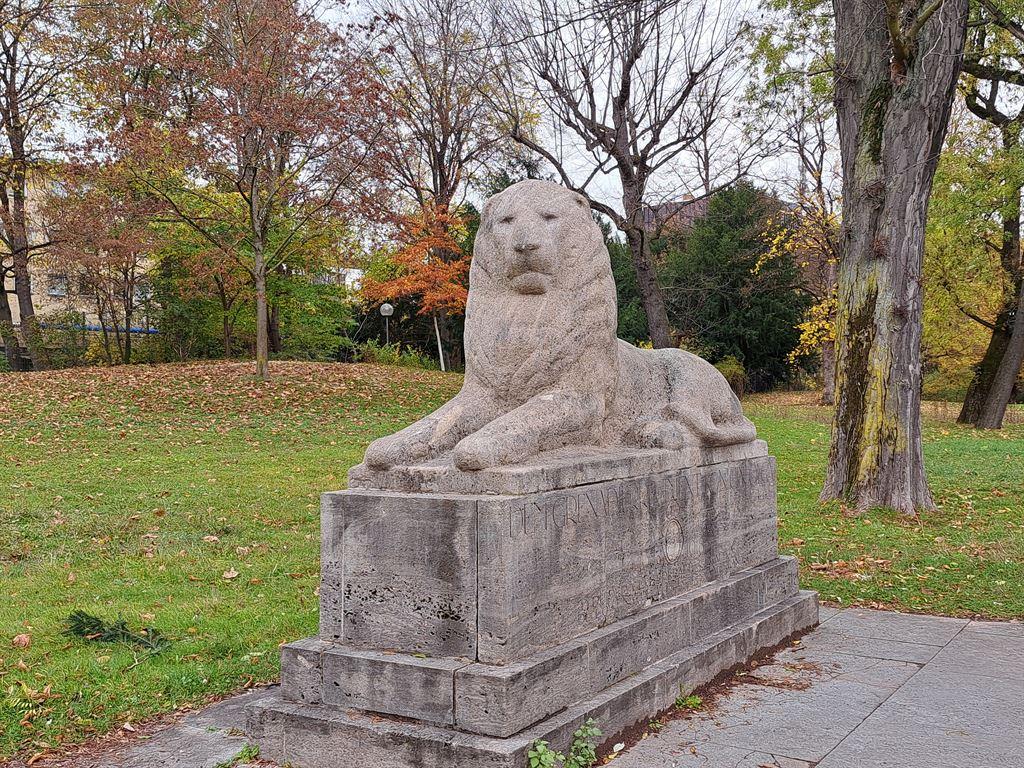 lion