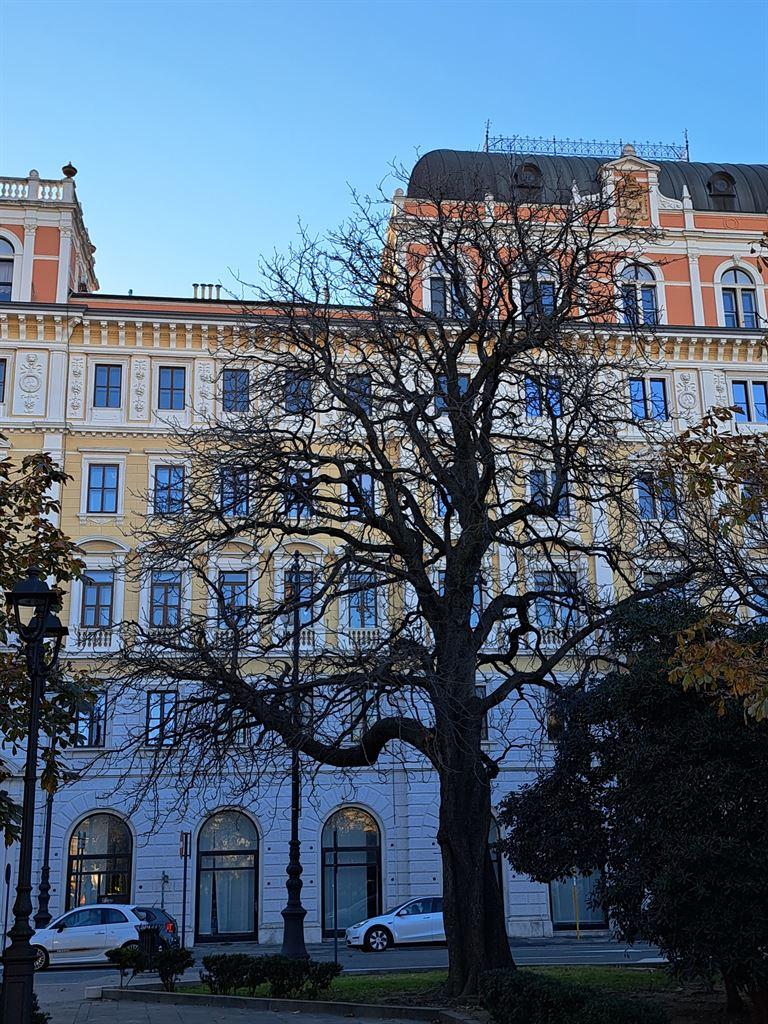 trieste