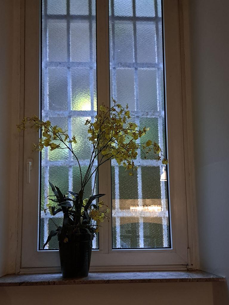 window