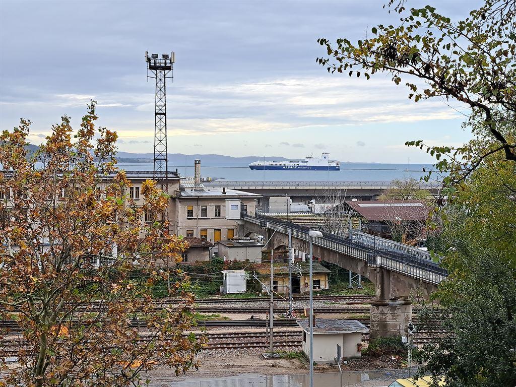view