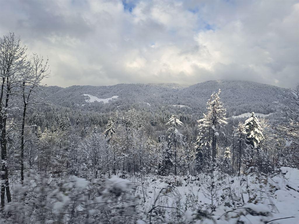 snow3