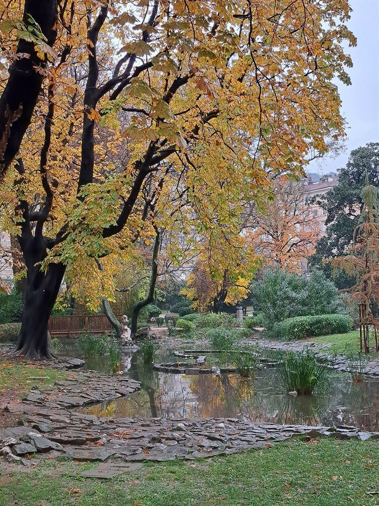 pond