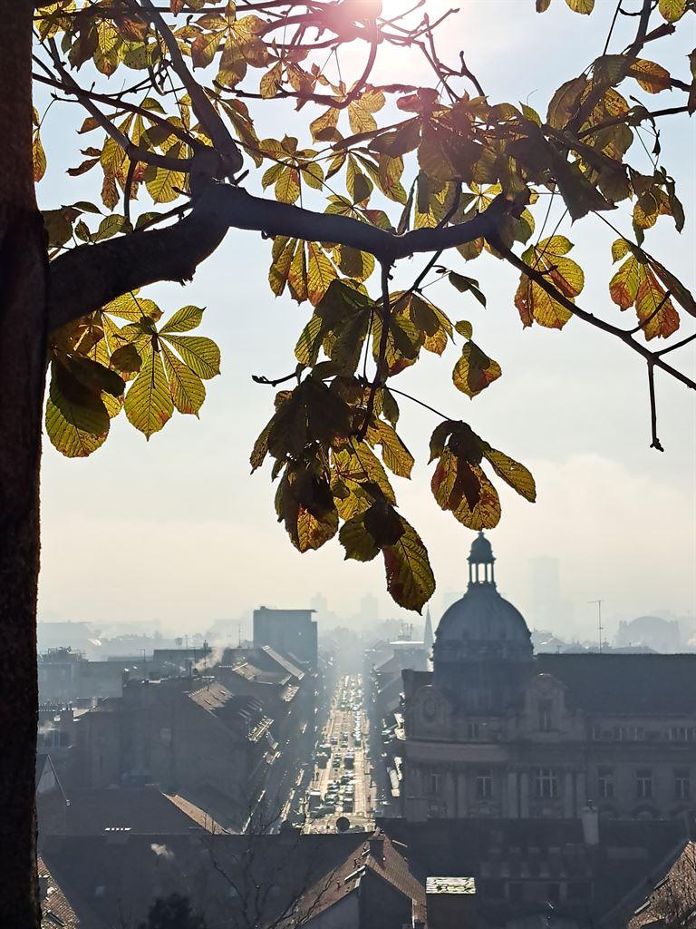 tree&view