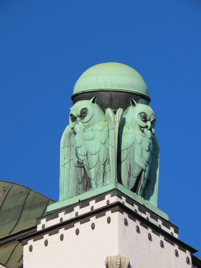 owls