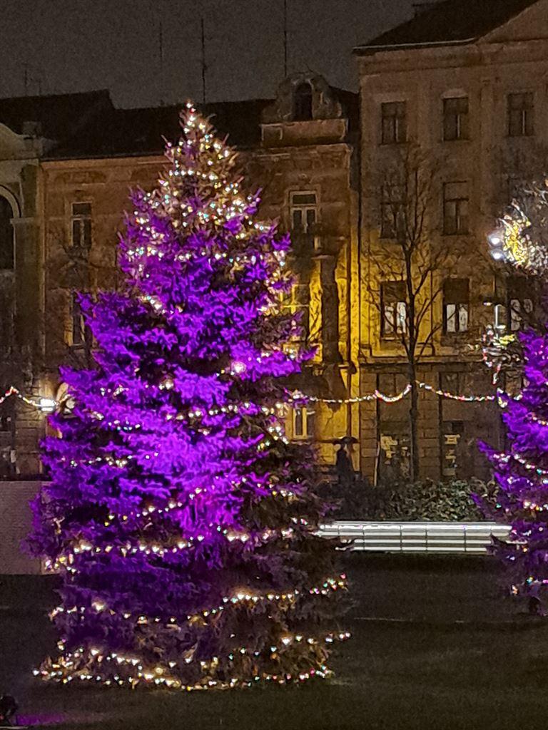 tree