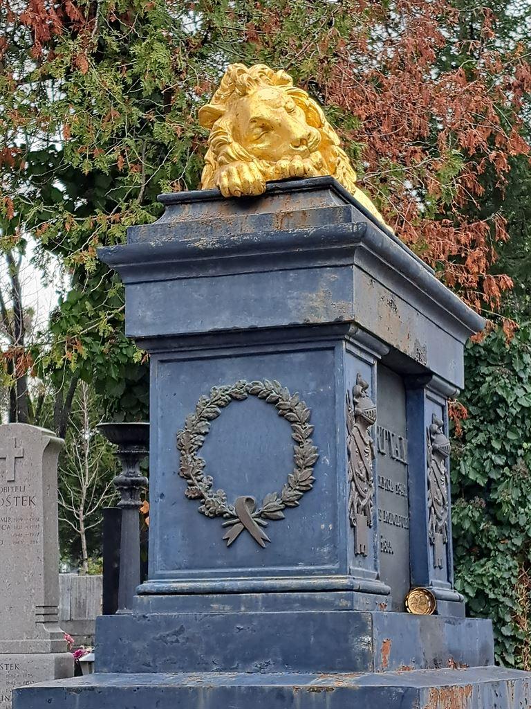 lion