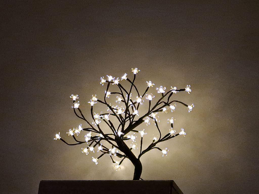 lights
