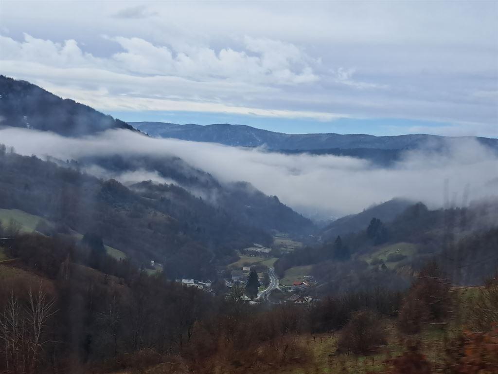 view