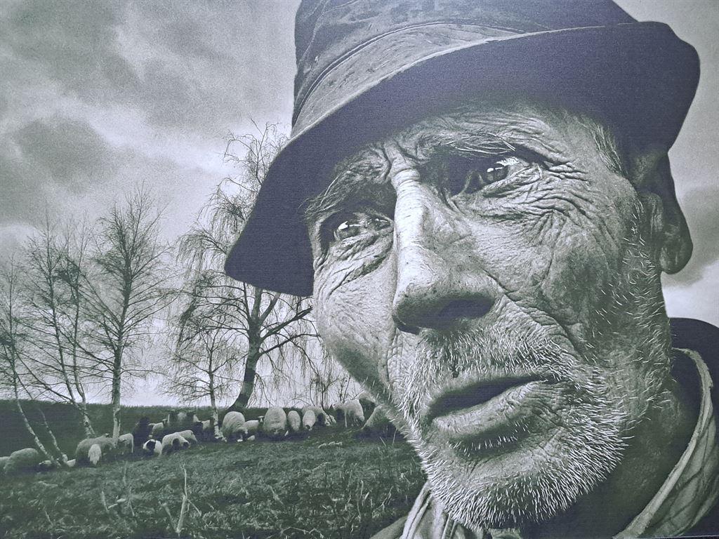 shepherd