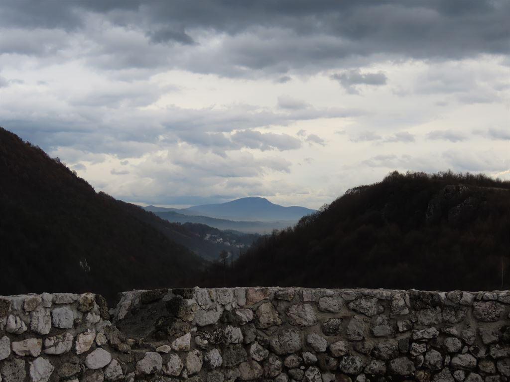 cview2