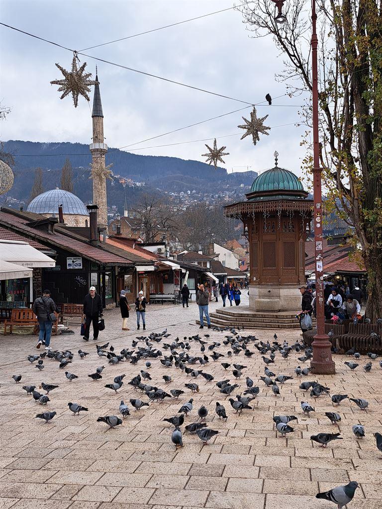 pigeonsquare