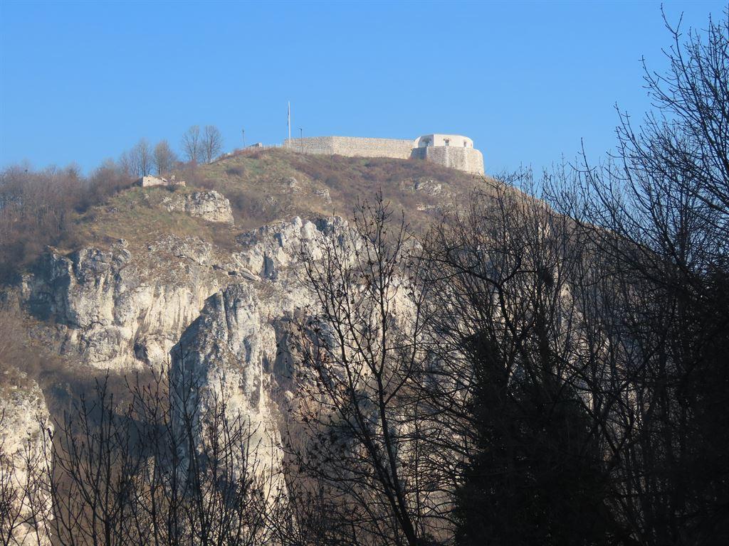 whitefortress