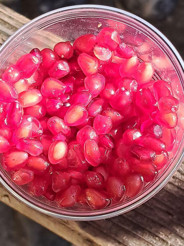 seeds
