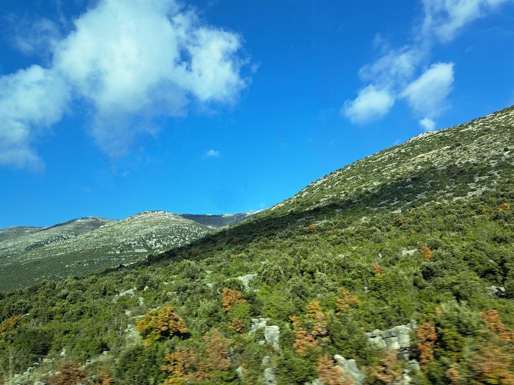 view3