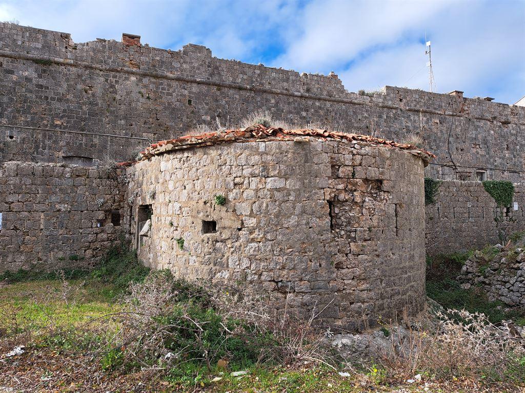 fort2