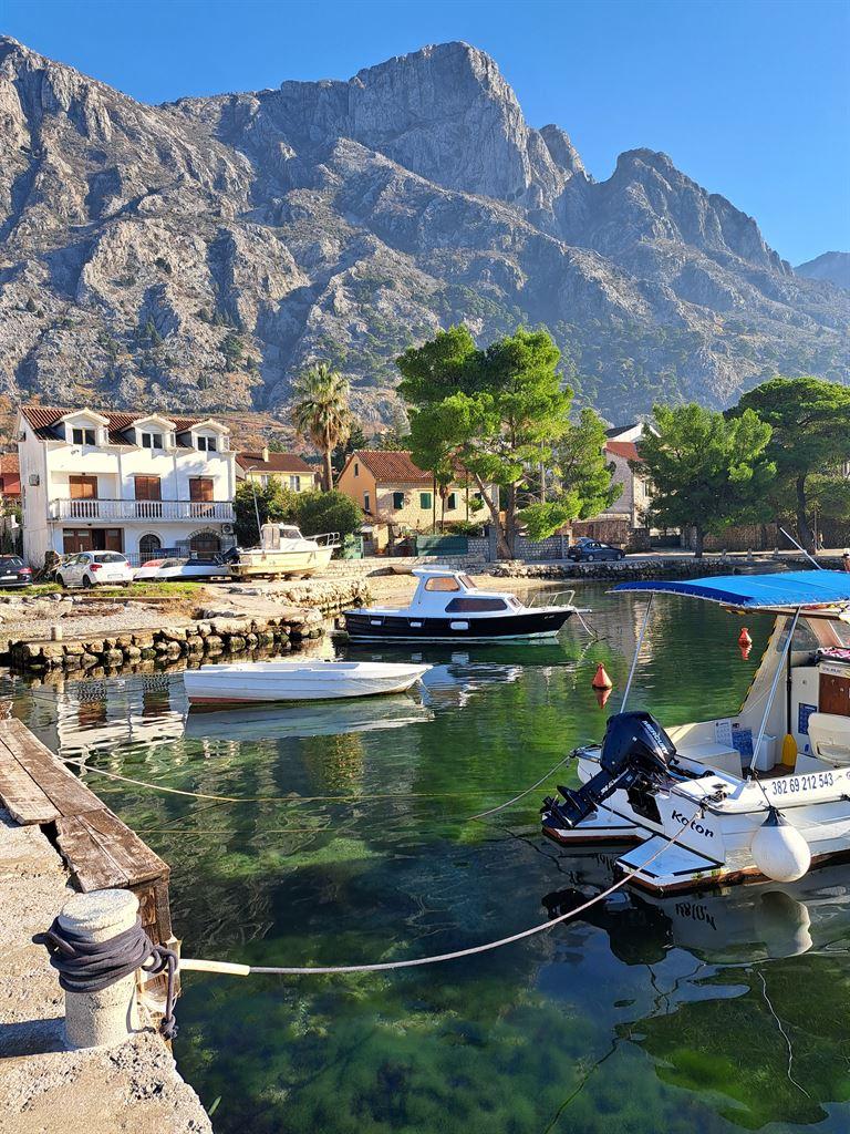 boats