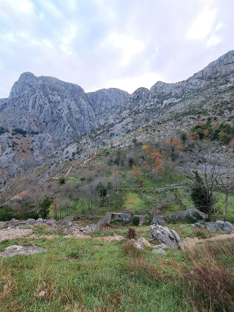 rocks