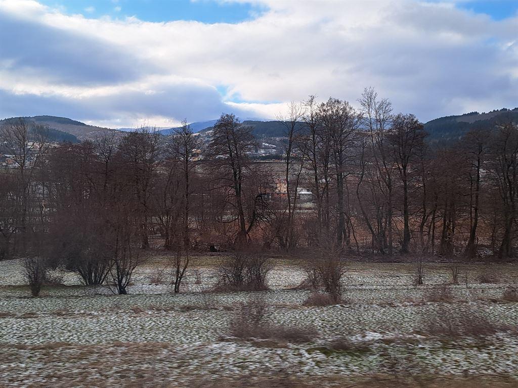 snow1