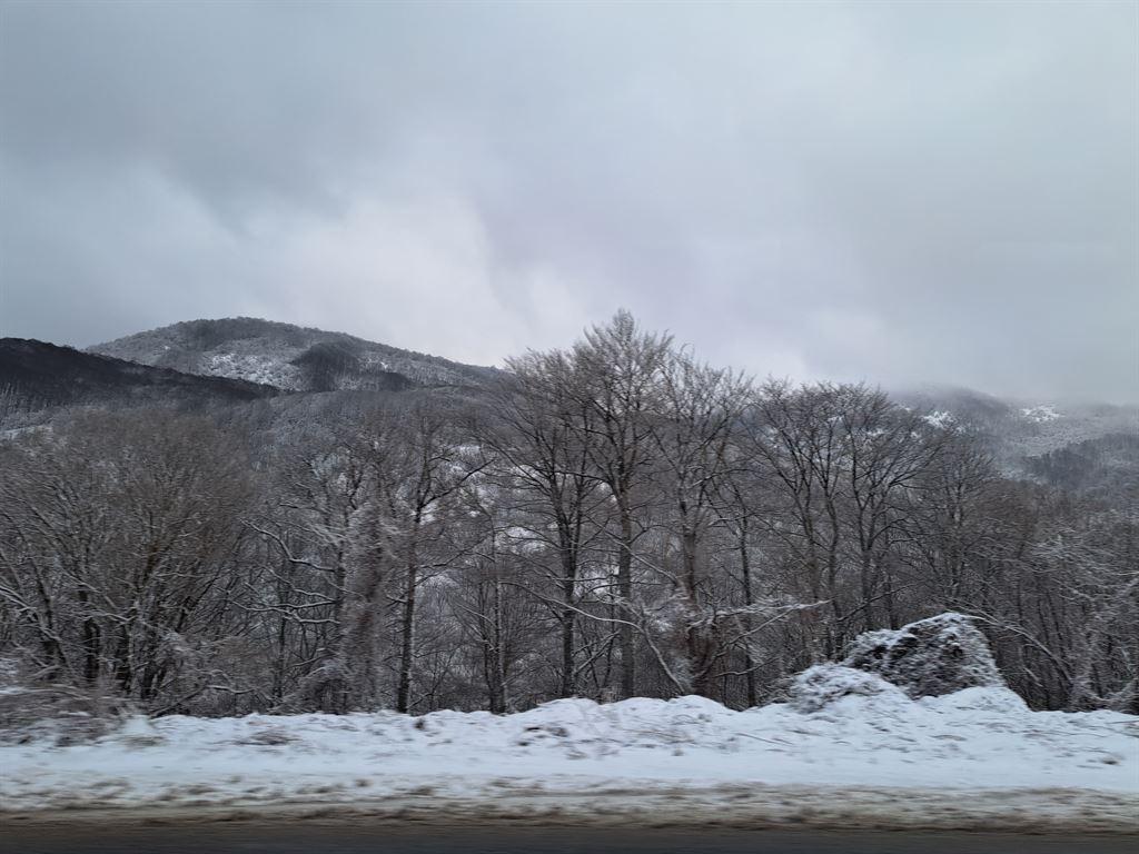 snow3