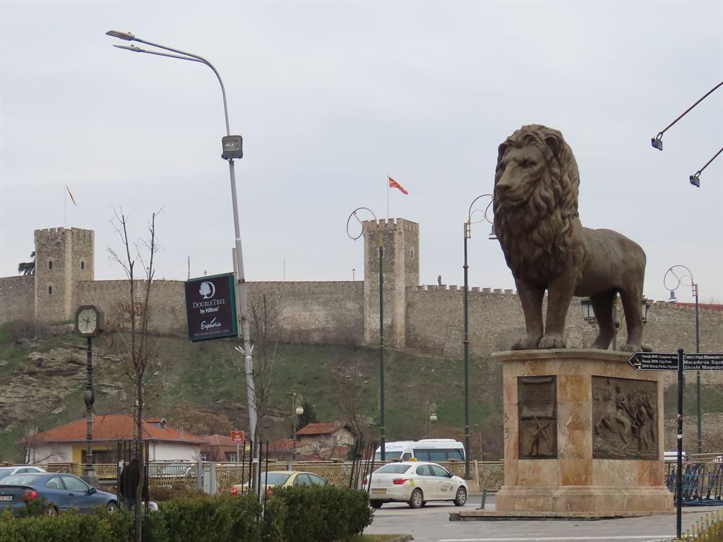lion1