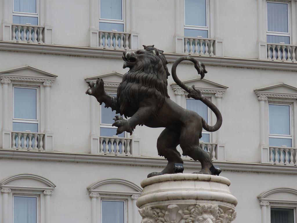 lion2