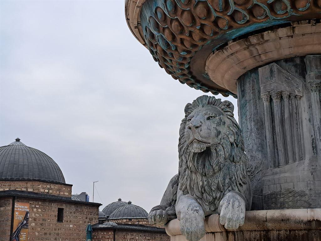 lionreclining