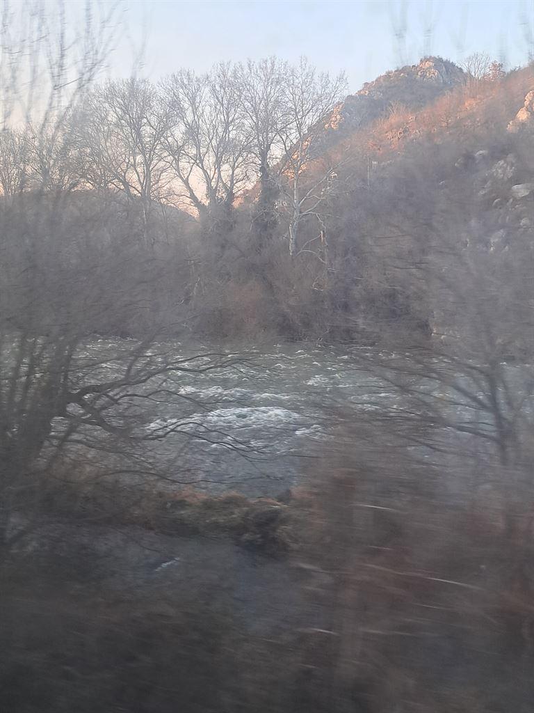 rapids