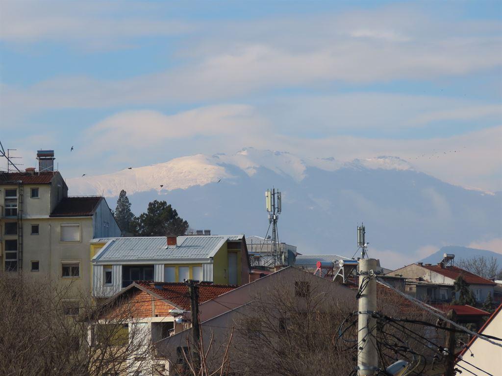 snow1