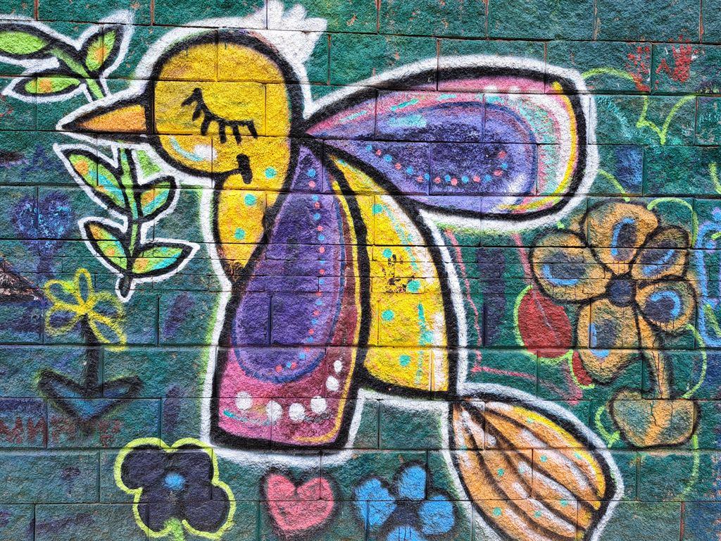 bird