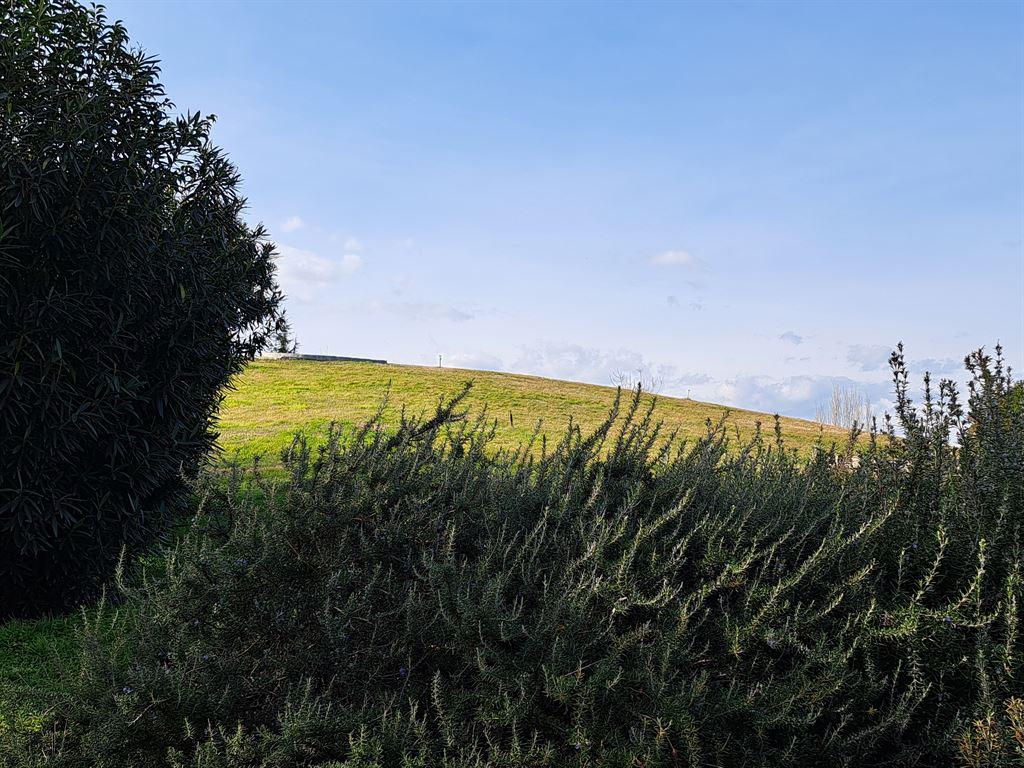 mound