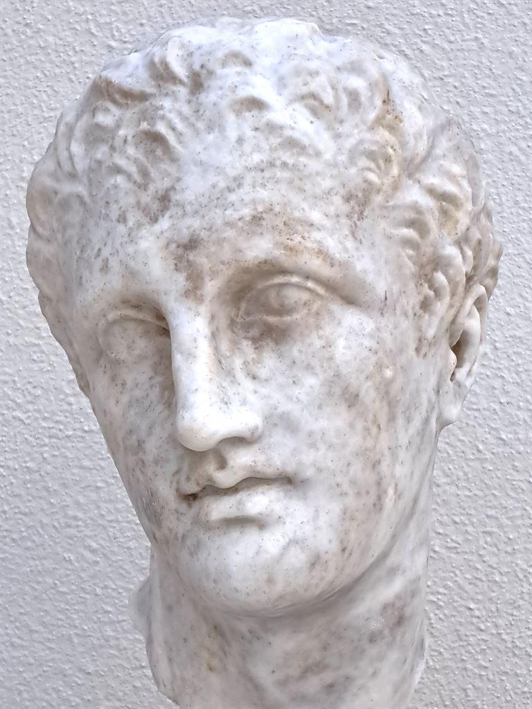 malehead
