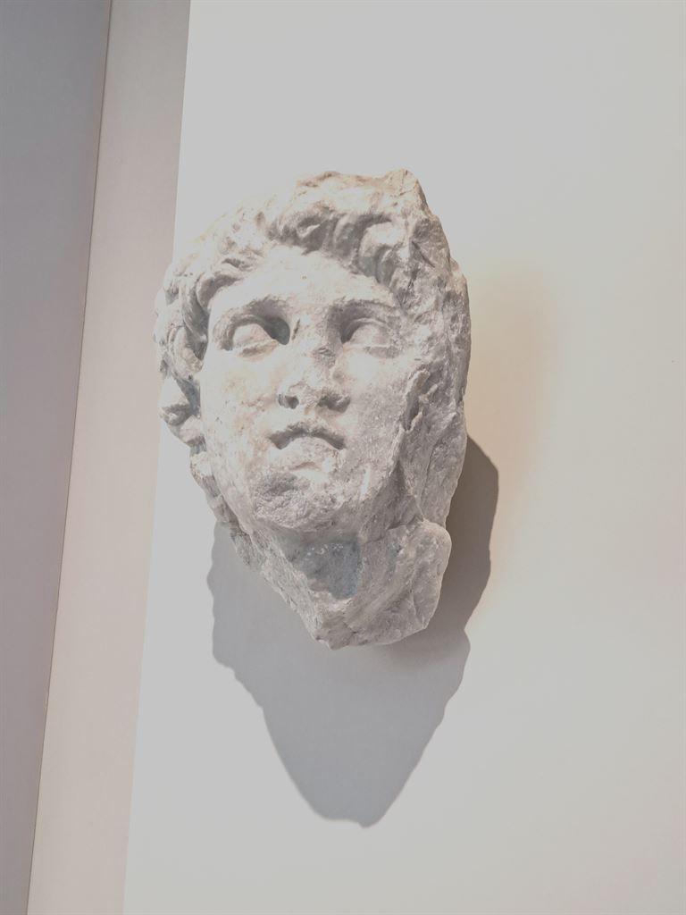 alexander
